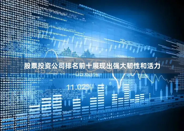 股票投资公司排名前十展现出强大韧性和活力