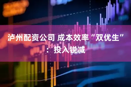 泸州配资公司 成本效率“双优生”：投入锐减