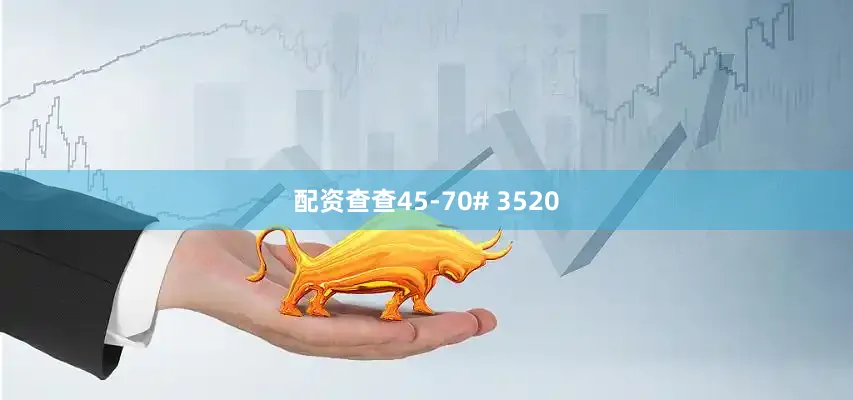 配资查查45-70# 3520