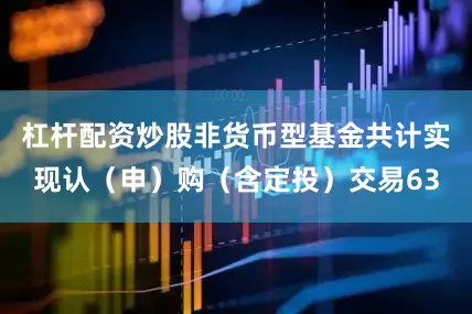 杠杆配资炒股非货币型基金共计实现认（申）购（含定投）交易63