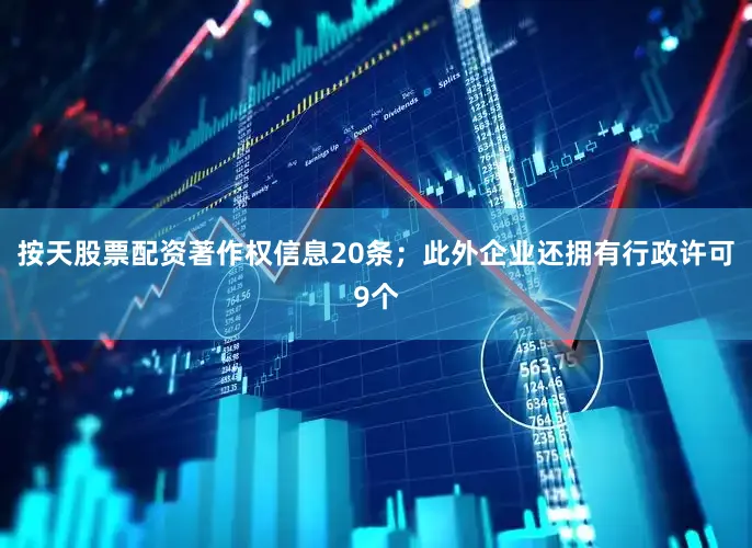 按天股票配资著作权信息20条；此外企业还拥有行政许可9个