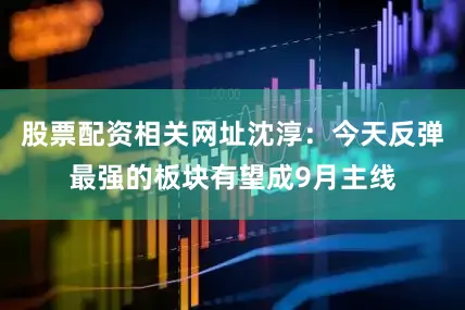 股票配资相关网址沈淳：今天反弹最强的板块有望成9月主线